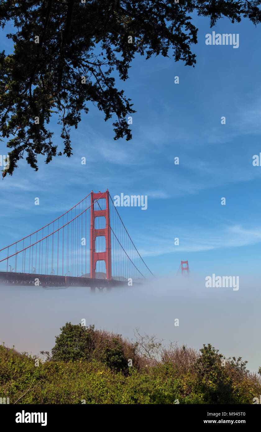 The iconic Golden Gate Bridge, with low fog under the bridge, on an early spring morning, San Francisco, California, United States. Stock Photo