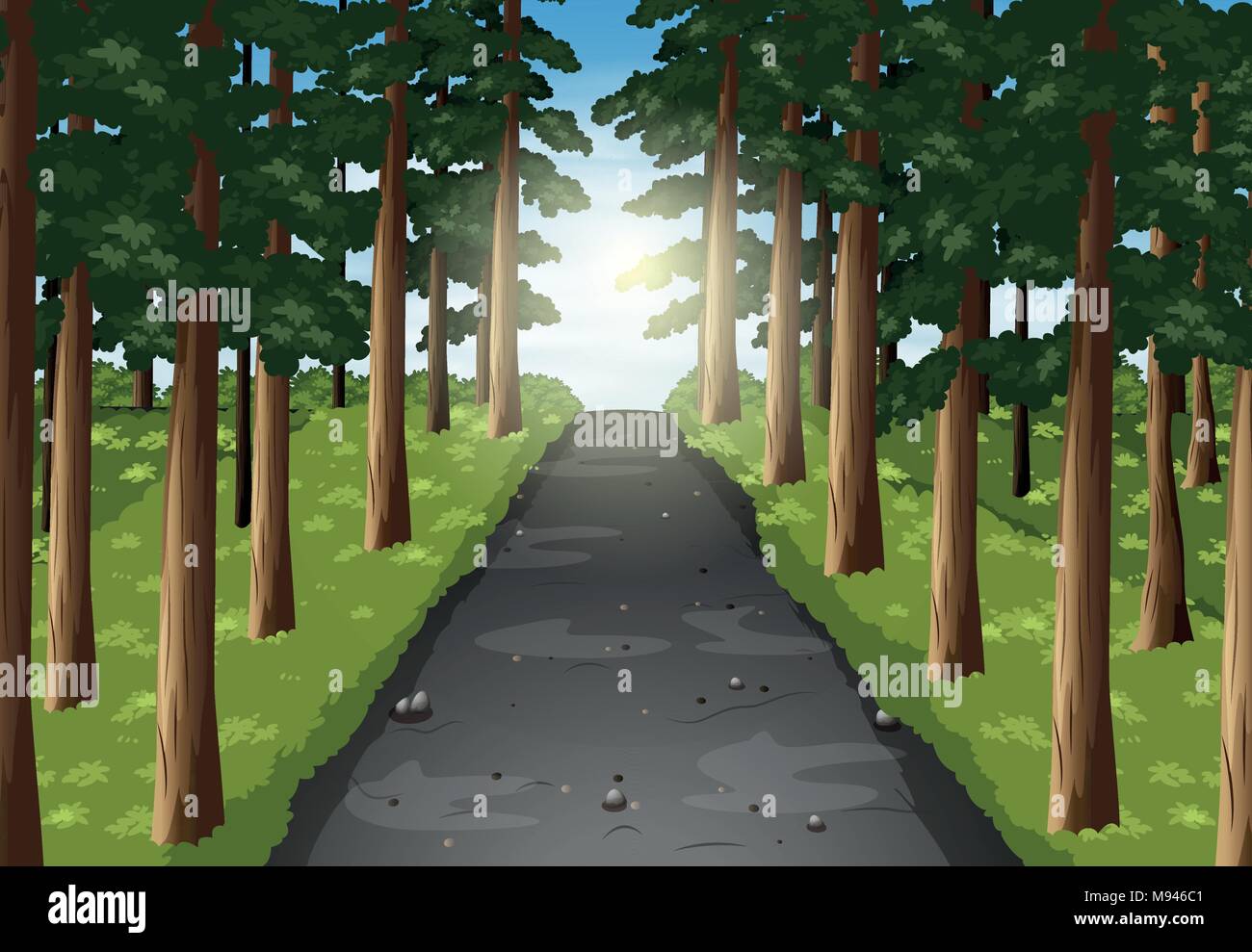 woods background drawing