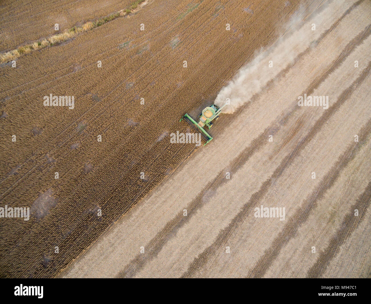 63801-09608 Soybean Harvest, John Deere combine harvesting soybeans - aerial - Marion Co. IL Stock Photo
