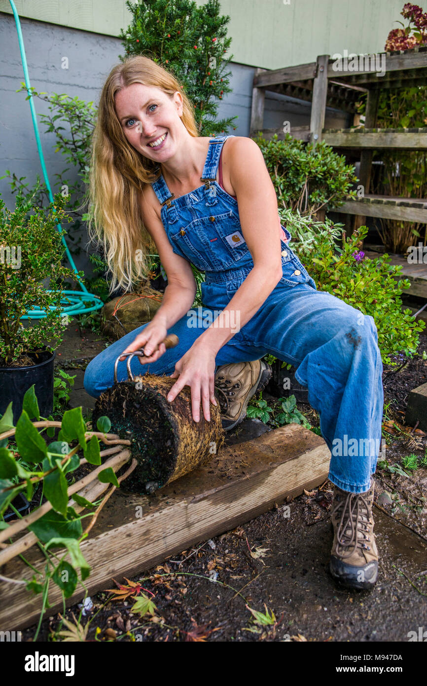 Root bound tree hi-res stock photography and images - Alamy