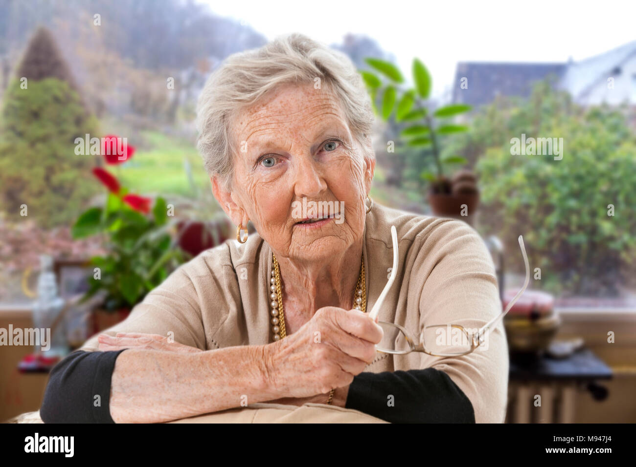 Smiling Senior, grey-haired woman,holdin glasses,looking at camera, in her sitting room, in front of windows onto garden Stock Photo