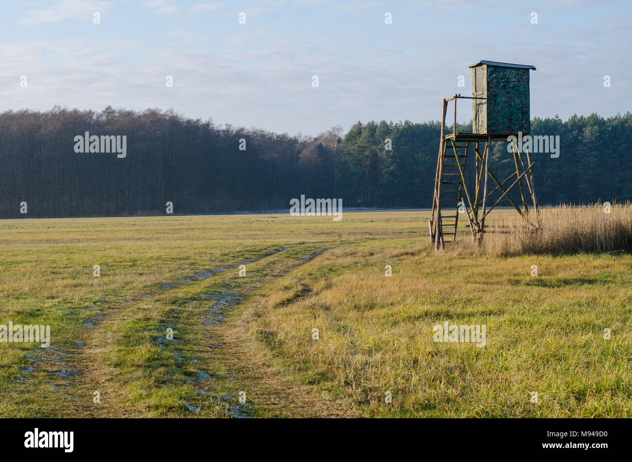frozen vehicle traces in the vast meadow leading around a camouflaged wooden hunting stand on a cold but sunny winter day Stock Photo