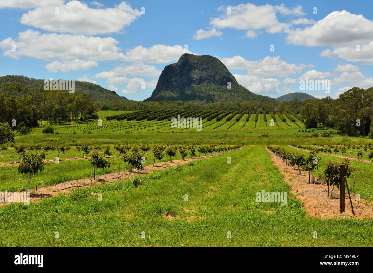 Glass house mountains national park hires stock photography and images