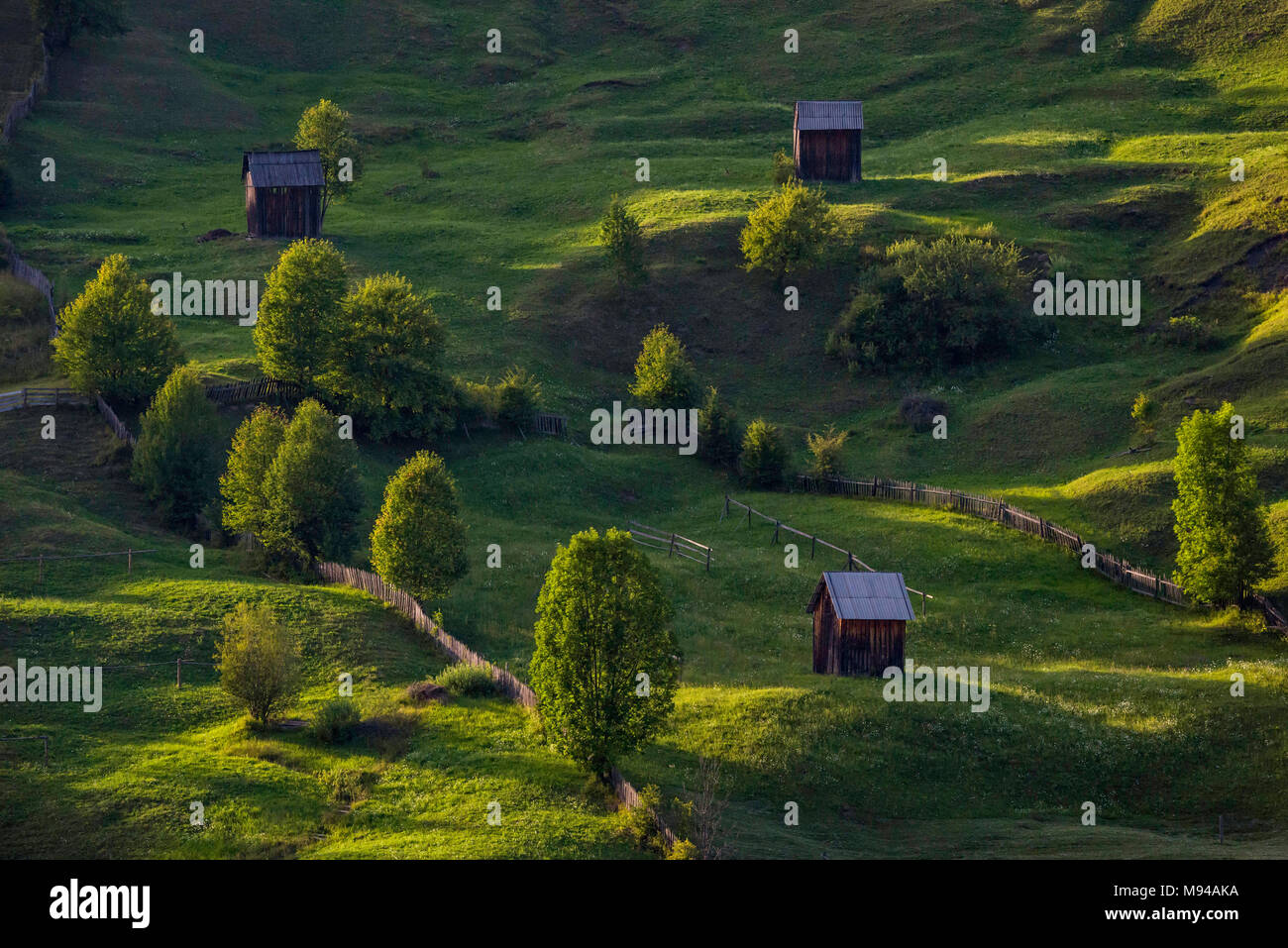 The idyllic scenery of the Bucovina region in Romania with green rolling hills and cottages in the sunset light Stock Photo