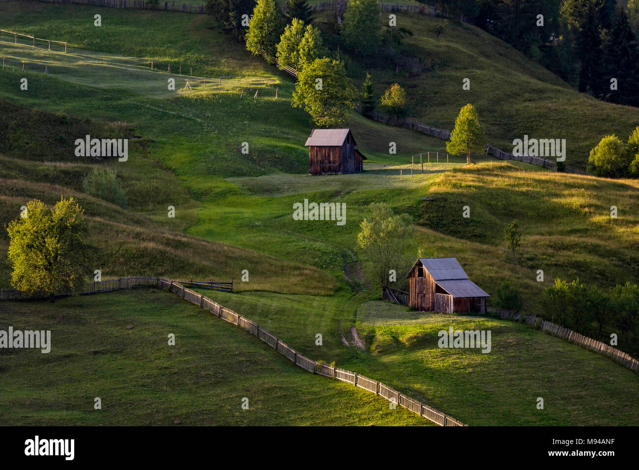Fascinating natural setting of Bucovina region in Romania with green rolling hills in the sunset Stock Photo