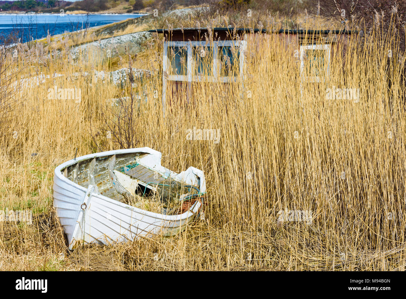 Old and weathered white rowboat on land in front of a small shed almost hidden in reedbed. Stock Photo