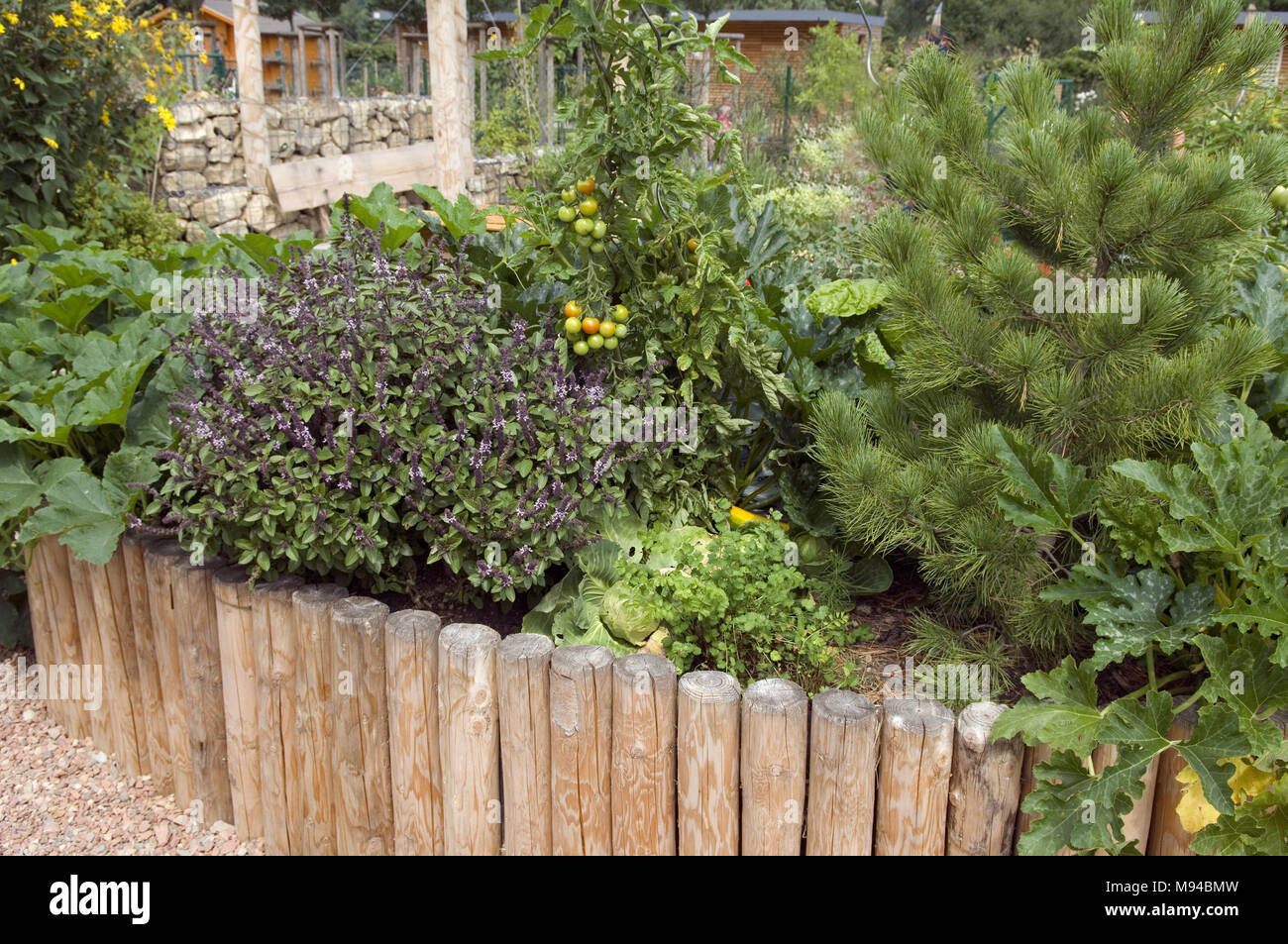 Hochbeet, Kraeuter, Gemuese, Gemuesebeet Stock Photo