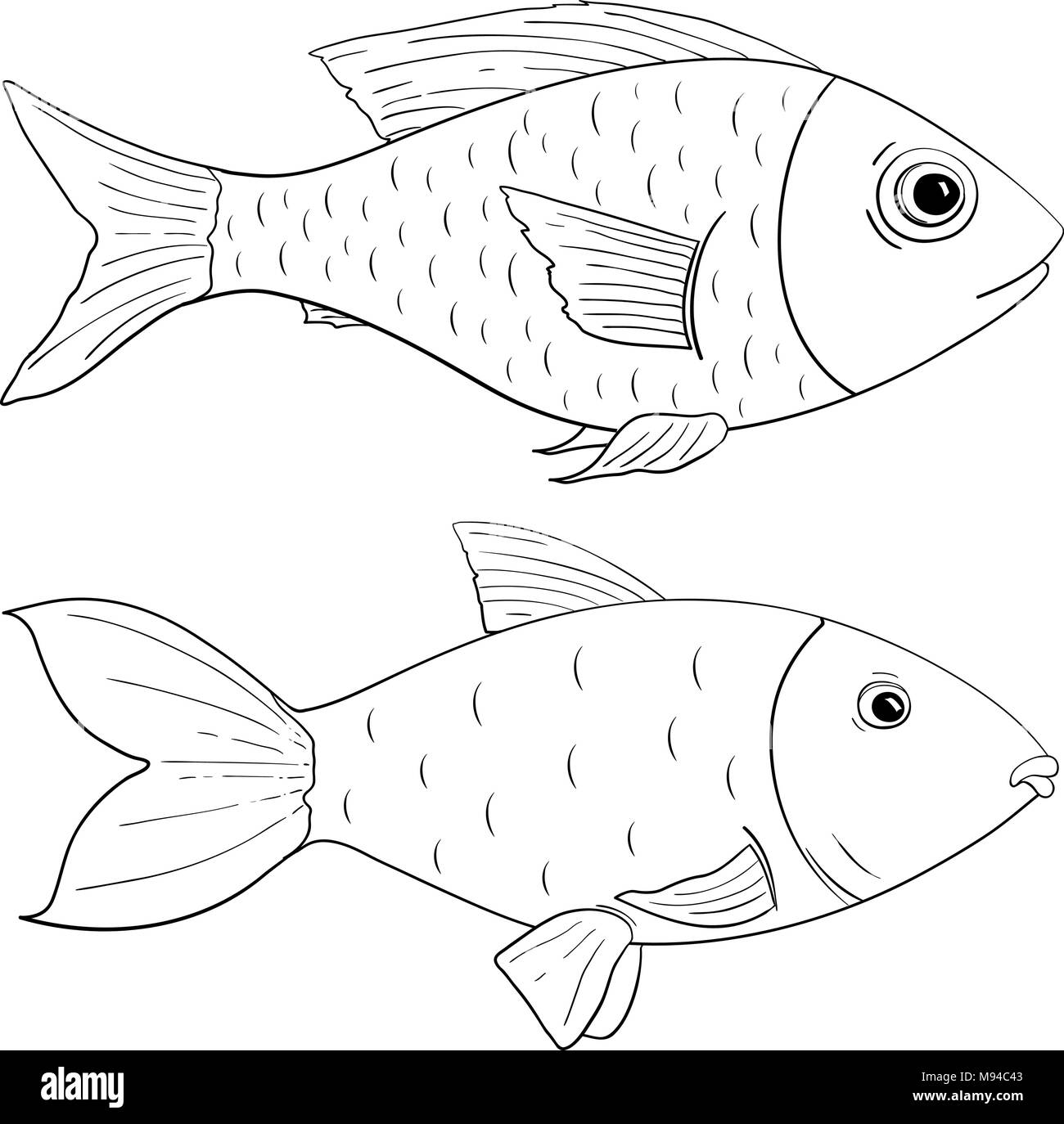 Easy Fish Drawing- Step by Step Printable - Crafty Morning