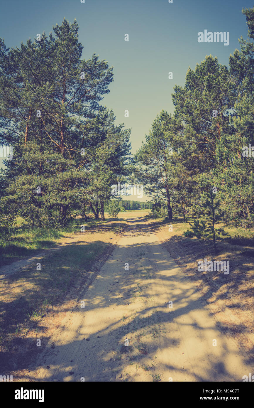 Roadside path pathway hi-res stock photography and images - Alamy
