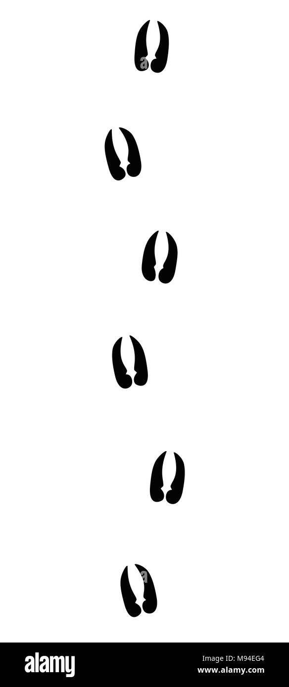 Alpine ibex or capricorn tracks - black icon illustration on white background. Stock Photo
