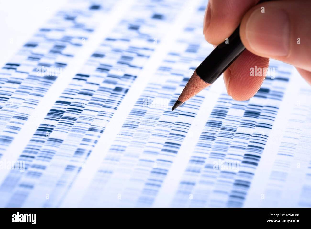 Scientist analyzes DNA gel used in genetics, forensics, drug discovery, biology and medicine. Stock Photo