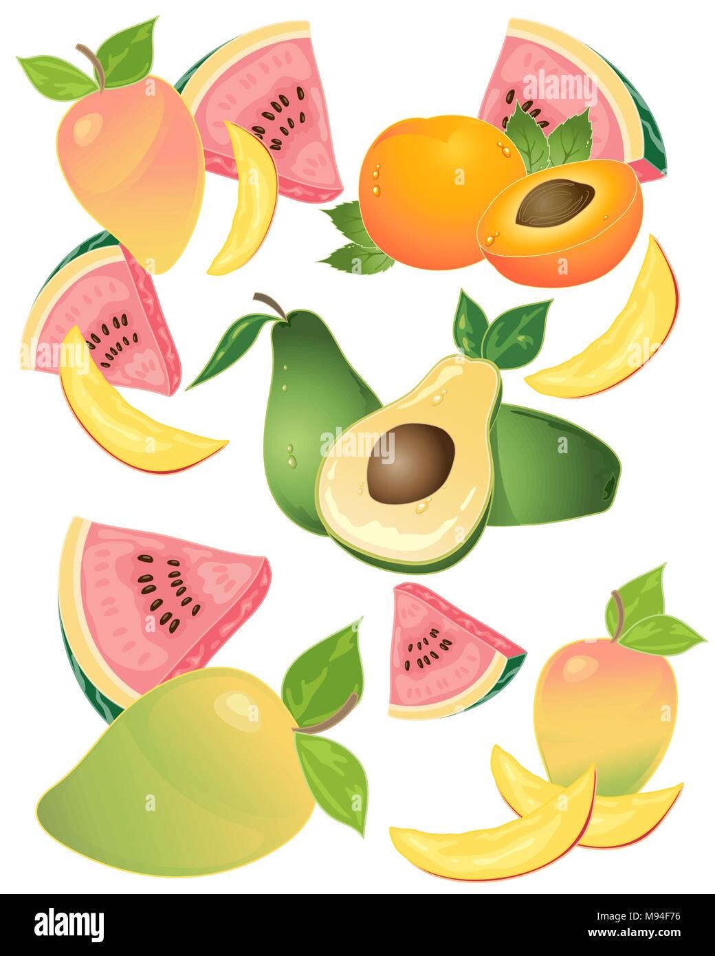 a vector illustration in eps 10 format of delicious tropical fruit with mango avacado melon and apricot on a white background Stock Vector