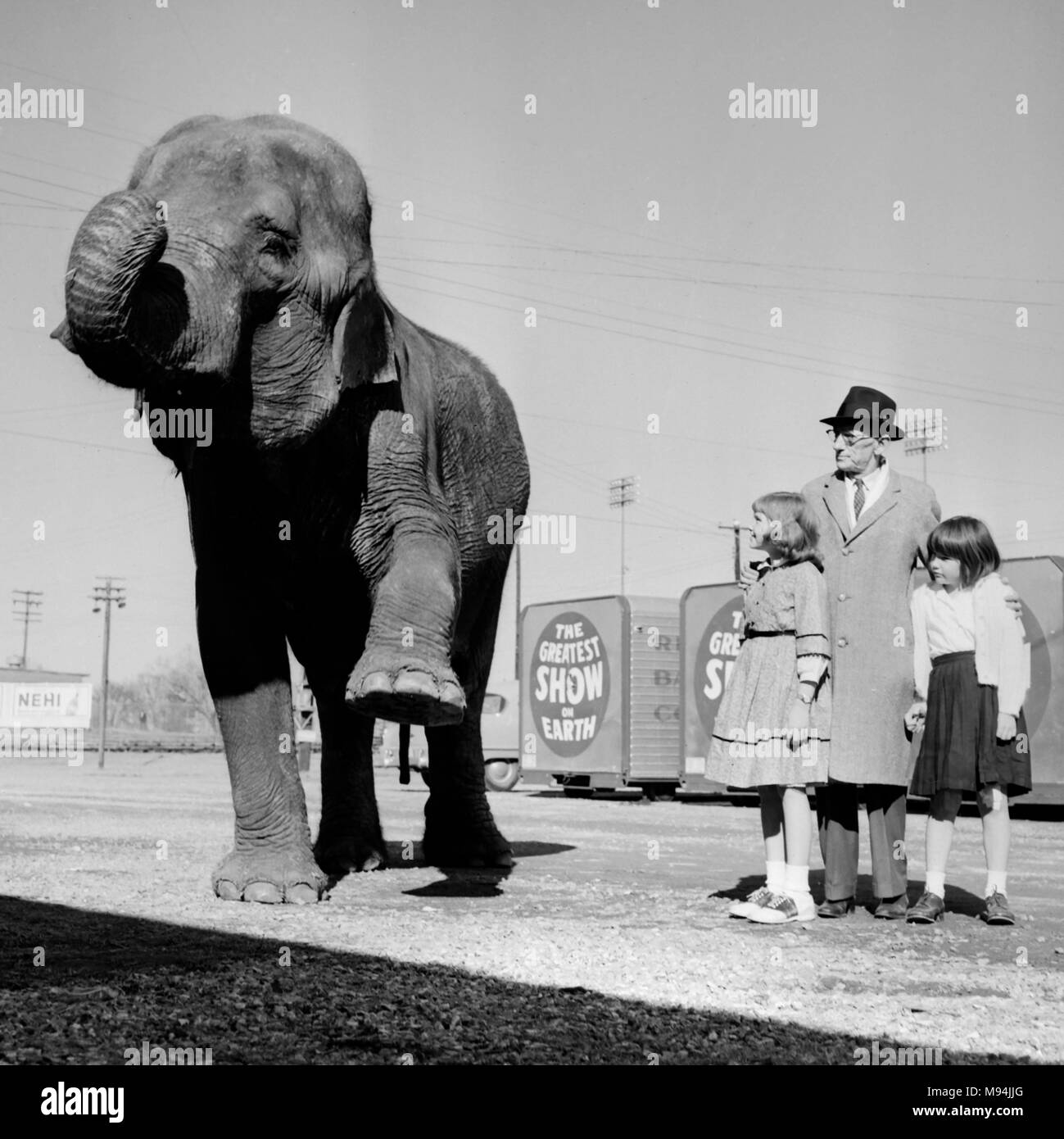 A grandfather and his two granddaughters warily watch and elephant while poses with the animal on the grounds of a Ringling Brothers Barnum and Baily Circus in Georgia, ca. 1966. Stock Photo