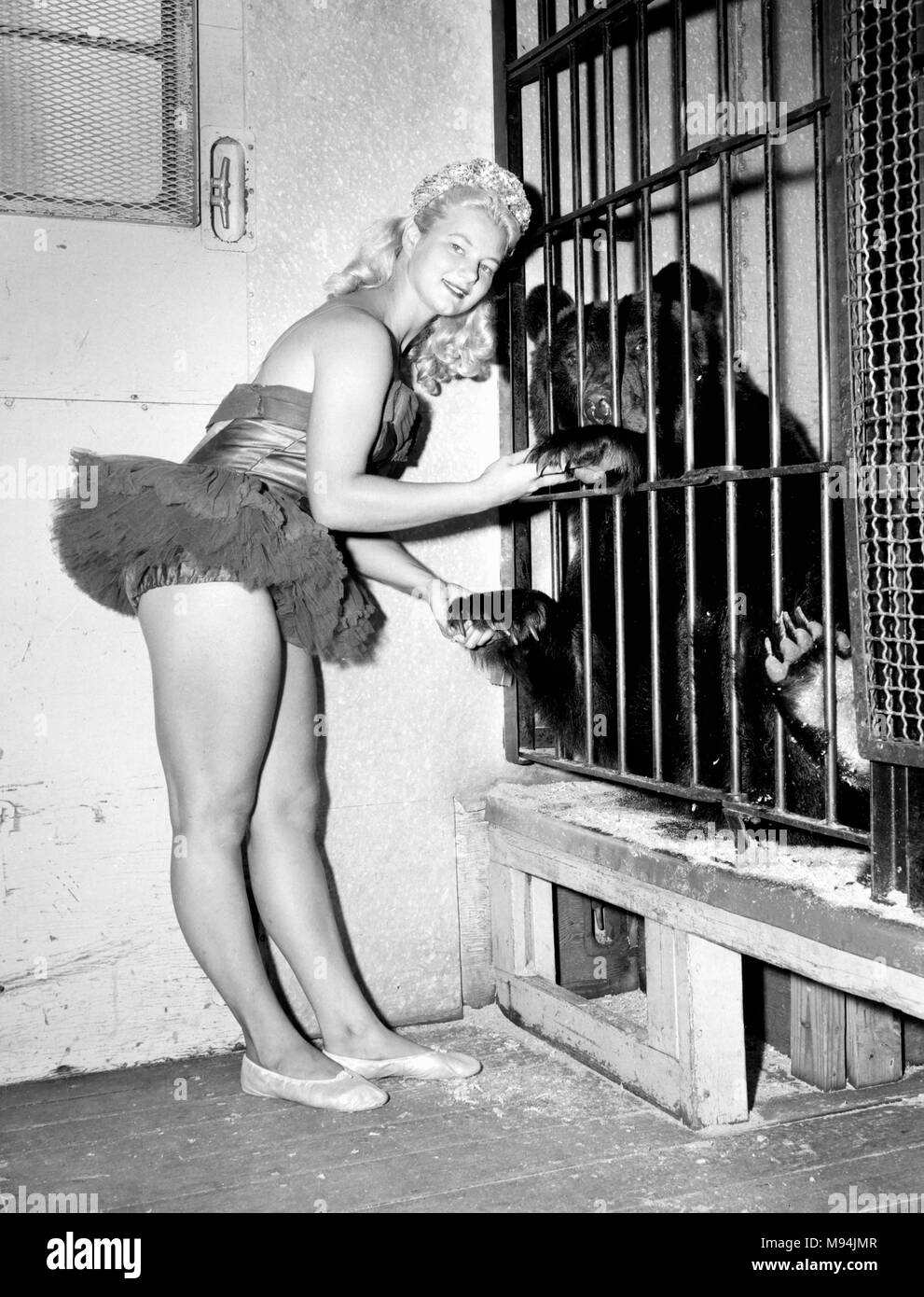 A circus woman receives a handshake from a caged bear backstage at the Polack Brothers Circus in Georgia, ca. 1955. Stock Photo