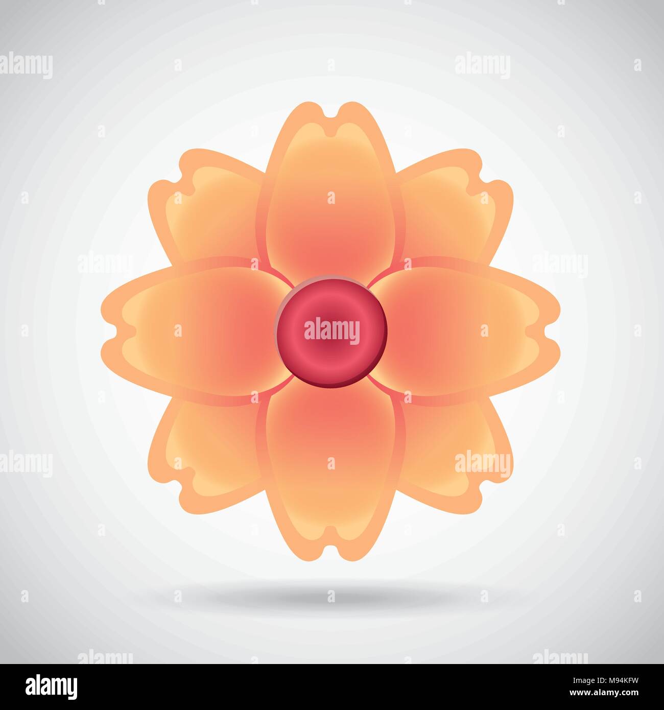 floral decoration design Stock Vector Image & Art - Alamy