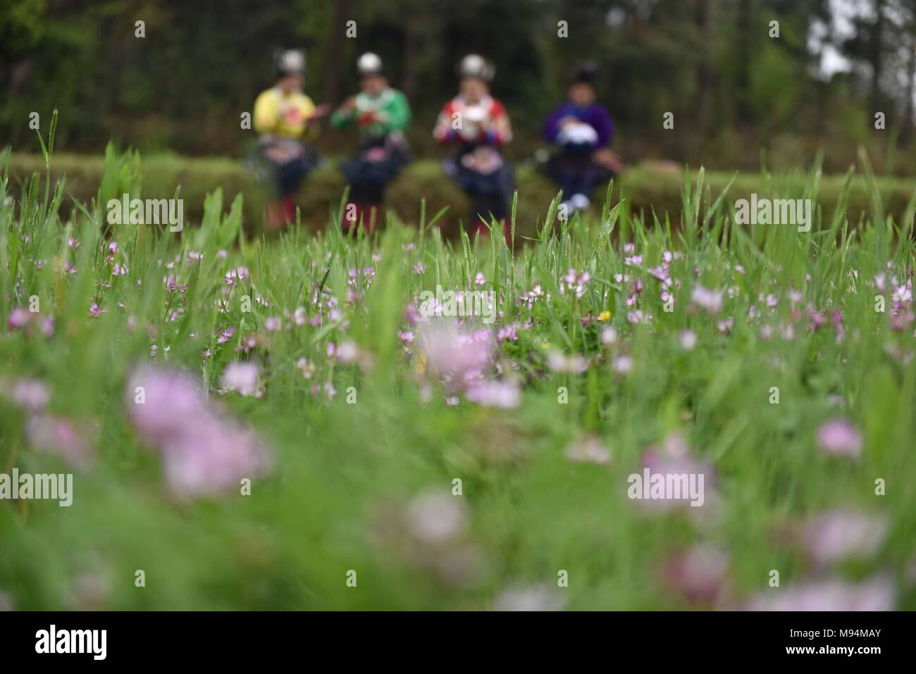 Qiandongnan, China's Guizhou Province. 21st Mar, 2018. Women of Miao ethnic group do embroidery work outdoors at Kala Village of Longquan Township in Danzhai County, southwest China's Guizhou Province, March 21, 2018. Credit: Kai Shangyu/Xinhua/Alamy Live News Stock Photo