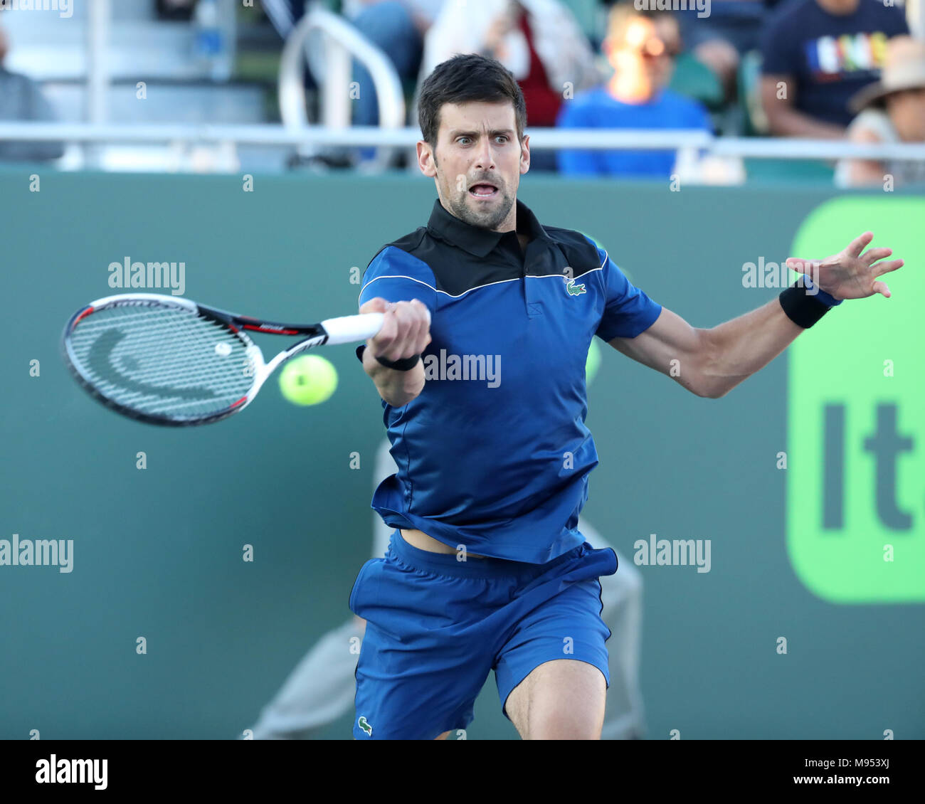 KEY BISCAYNE, FL - MARCH 22: Novak Djokovic during Day 4 of the Miami ...