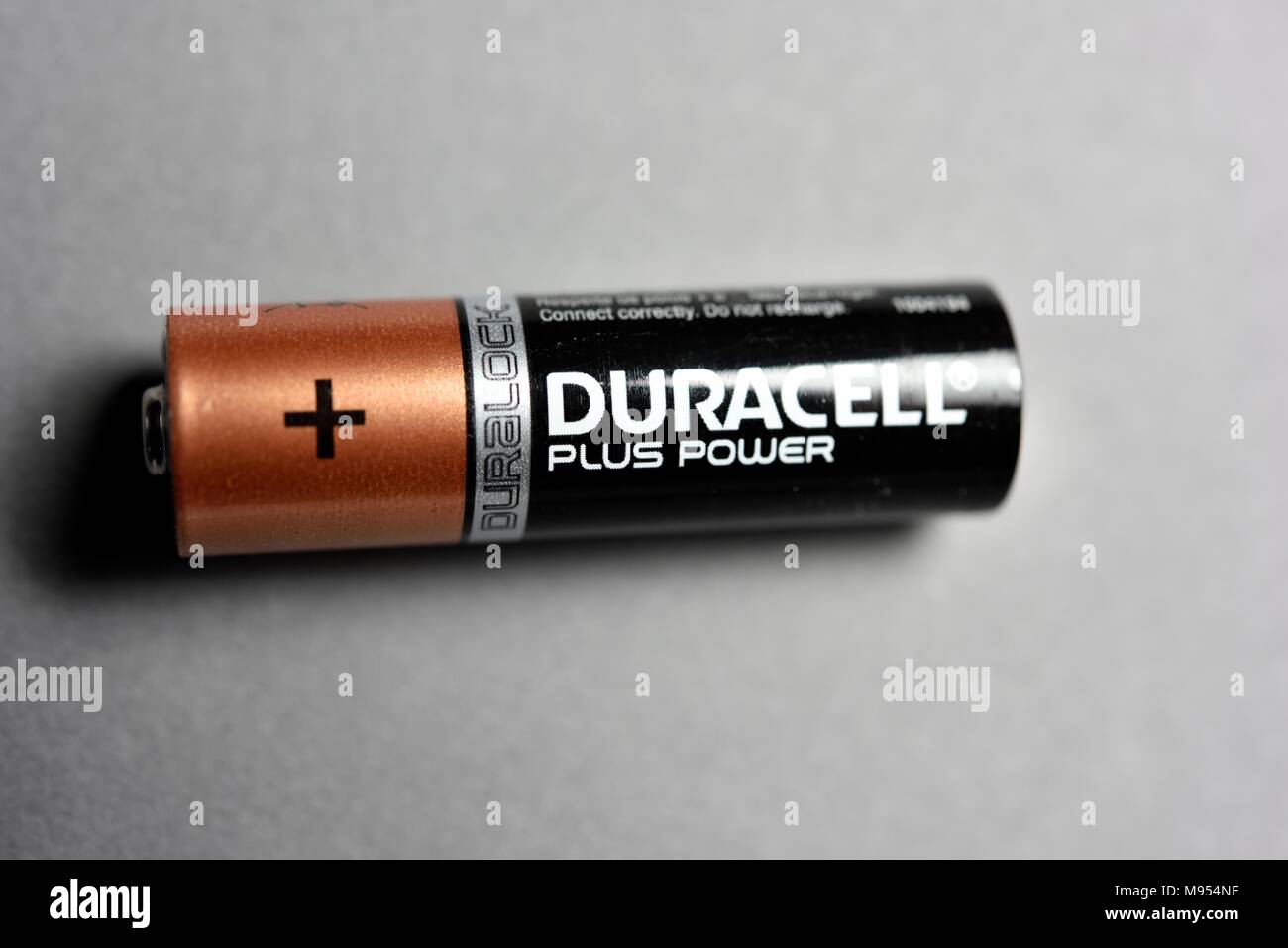 DURACELL PLUS POWER LR20/MN1300 pilas, Pilas Duracell - Perfumes Club