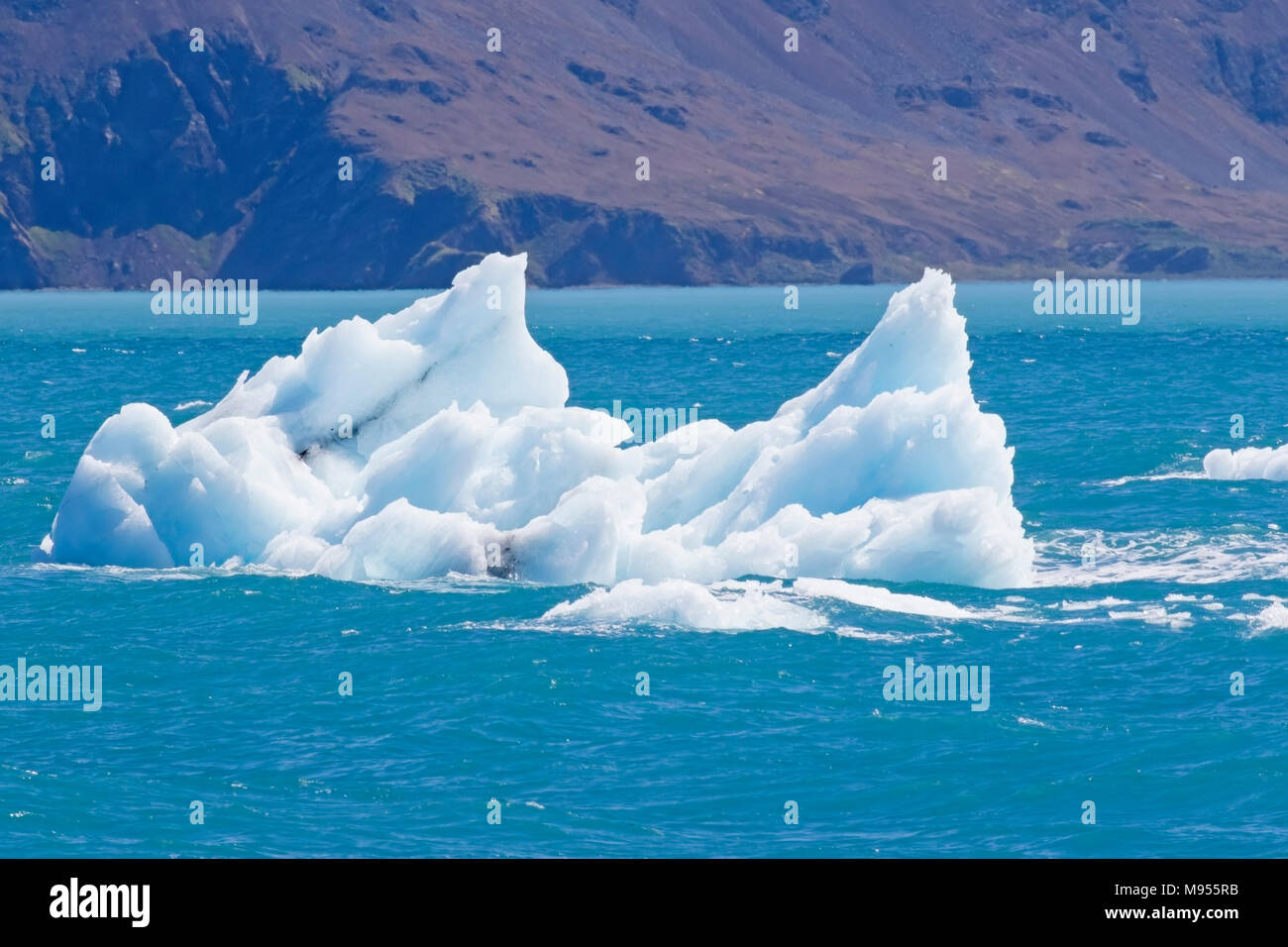 iceberg and seascape, Grytviken, South Georgia, Antarctica Stock Photo