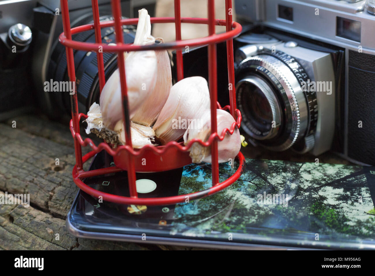 decorative image with different elements in nature Stock Photo - Alamy