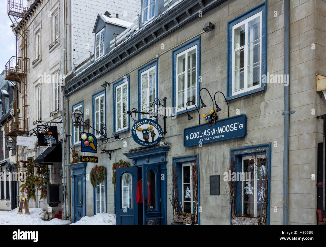Cool as a Moose souvenir shop in old walled city, Quebec City, Quebec