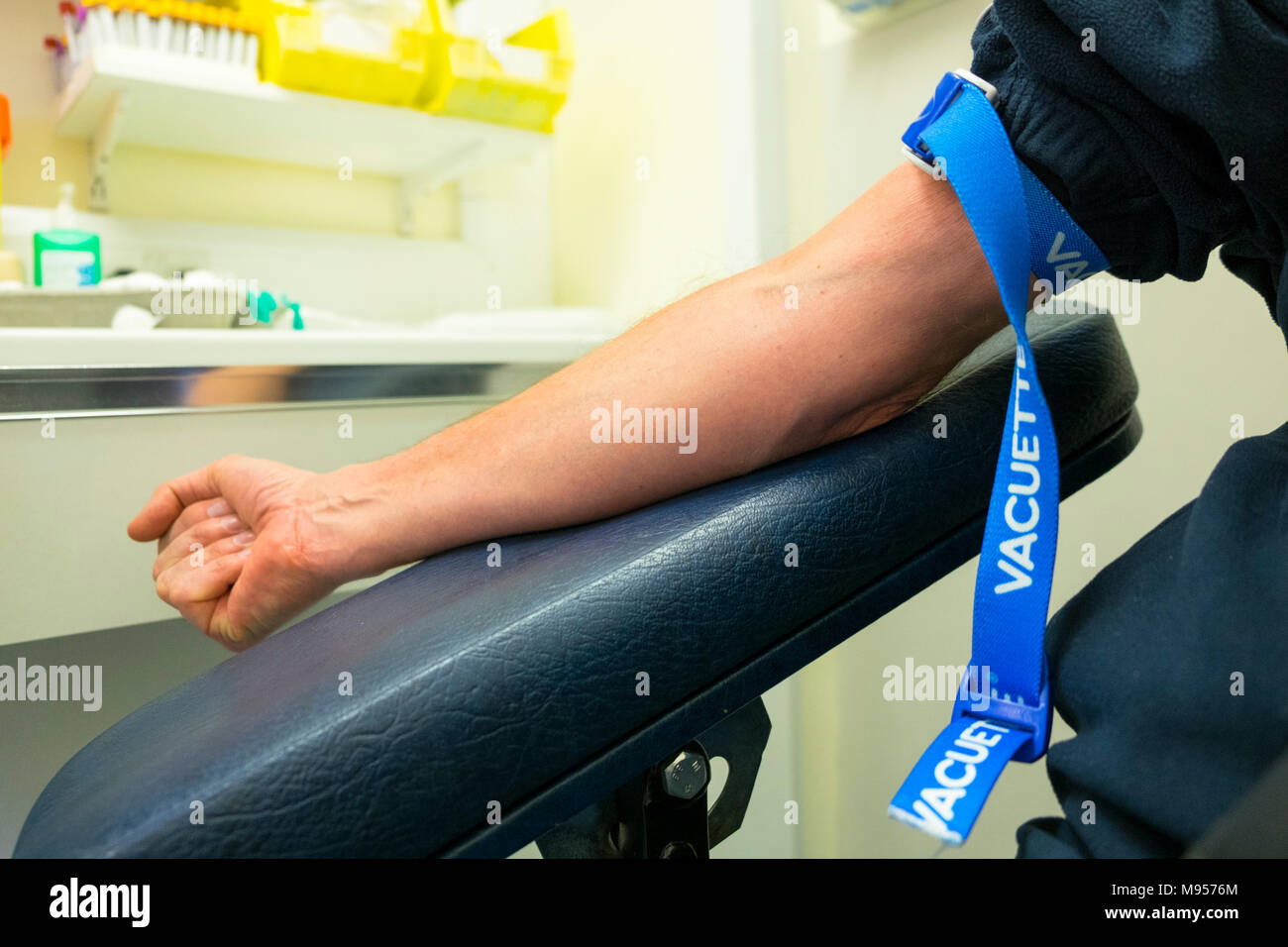 Male arm with tourniquet waiting for bloods to be taken, uk Stock Photo