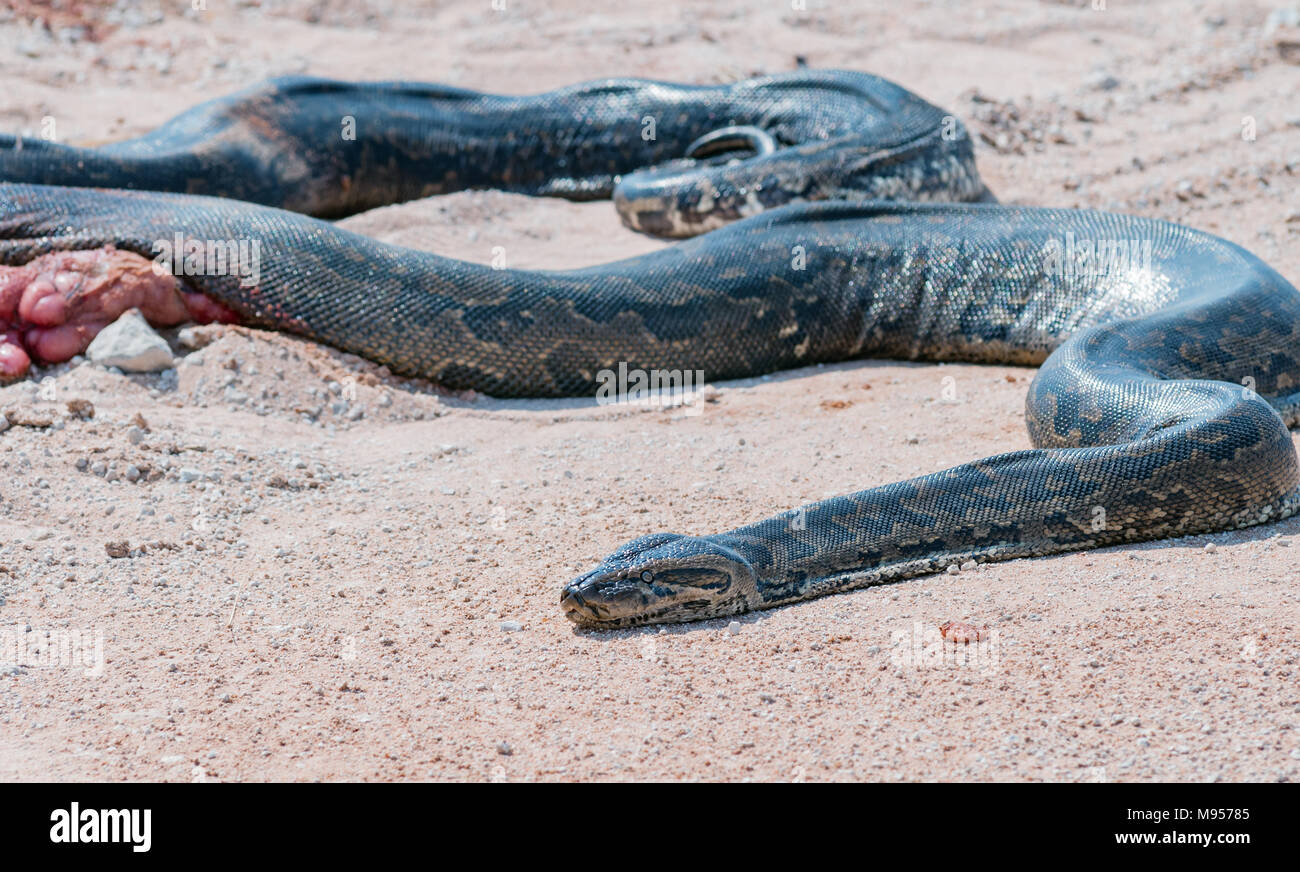 Dangerous roads namibia hi-res stock photography and images - Alamy
