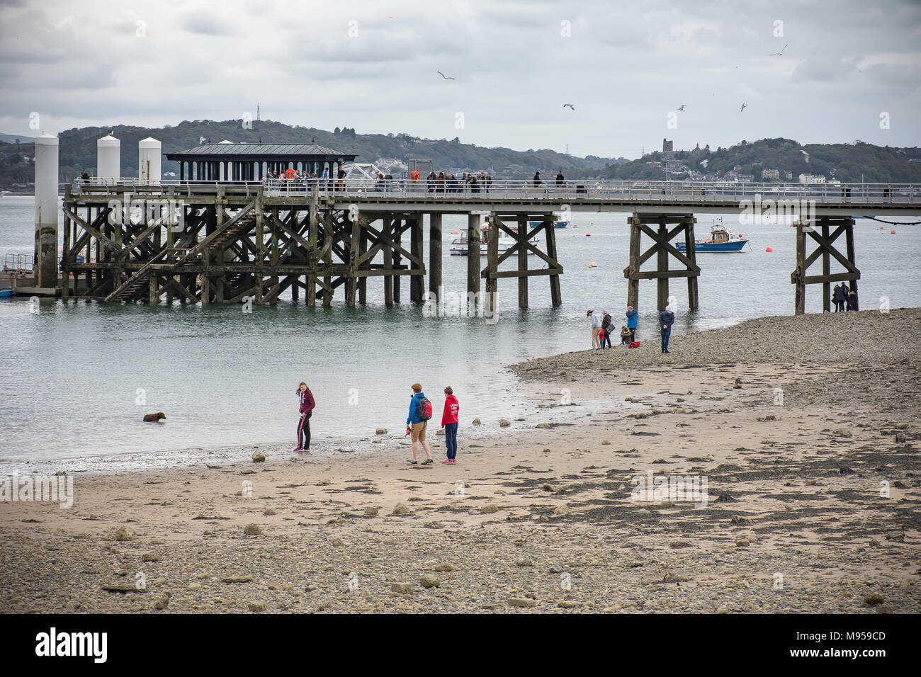Beaumaris anglesey beach hires stock photography and images Alamy