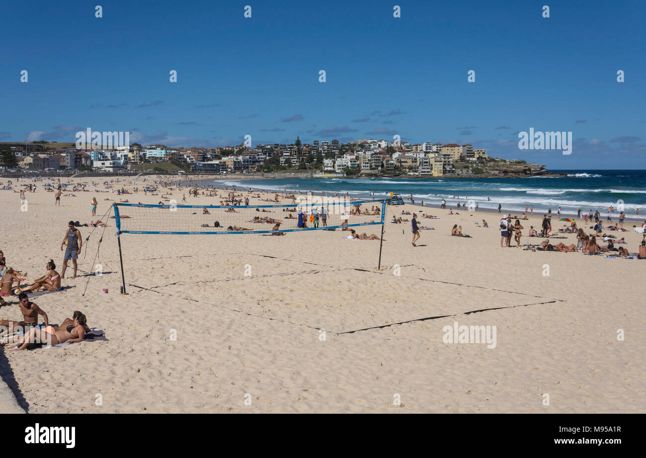 Volleyball Court On Bondi Beach Sydney New South Wales - 