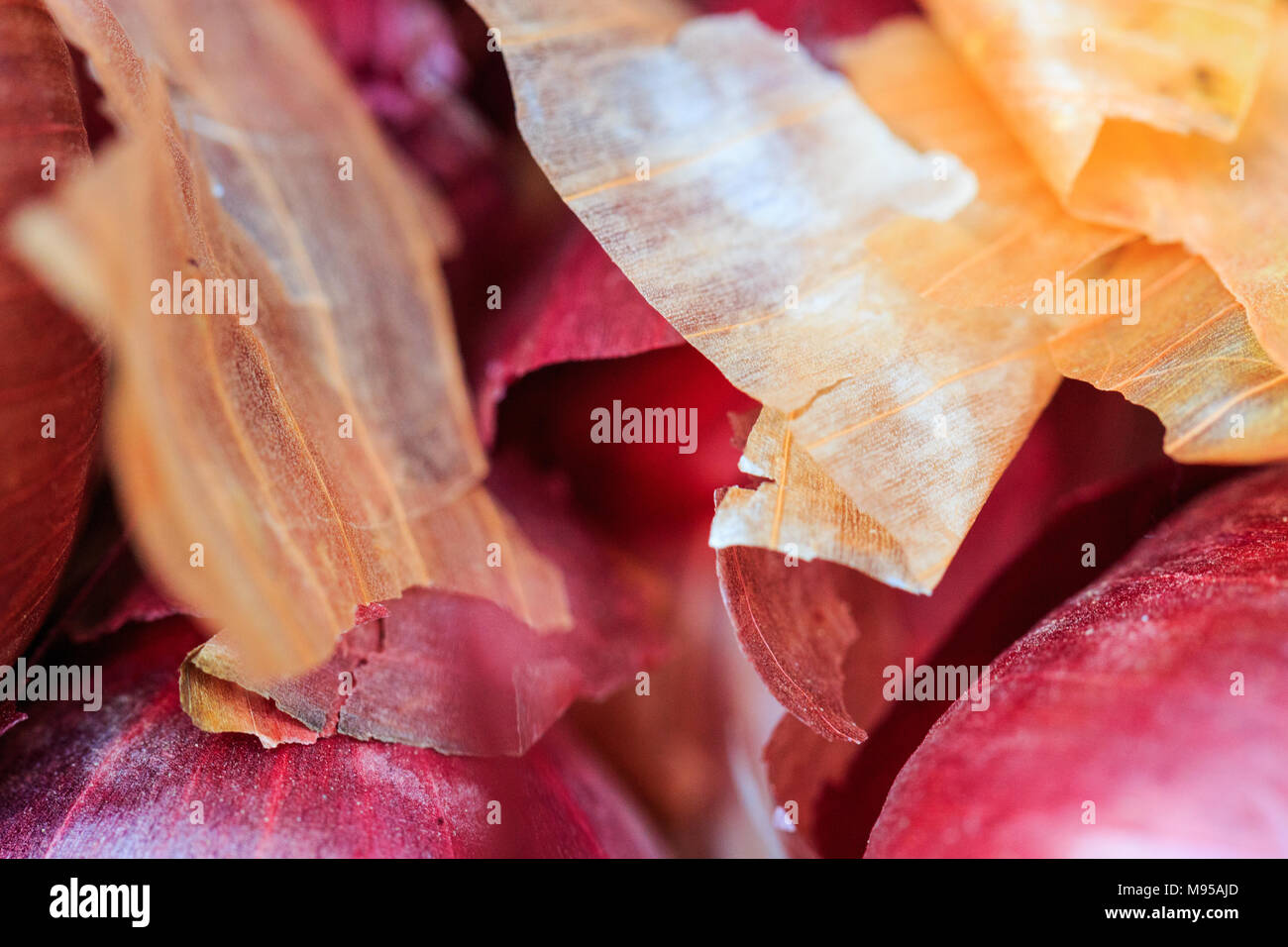 Onion skins in vegetable display at the farmer's market in Troy NY Stock Photo Alamy