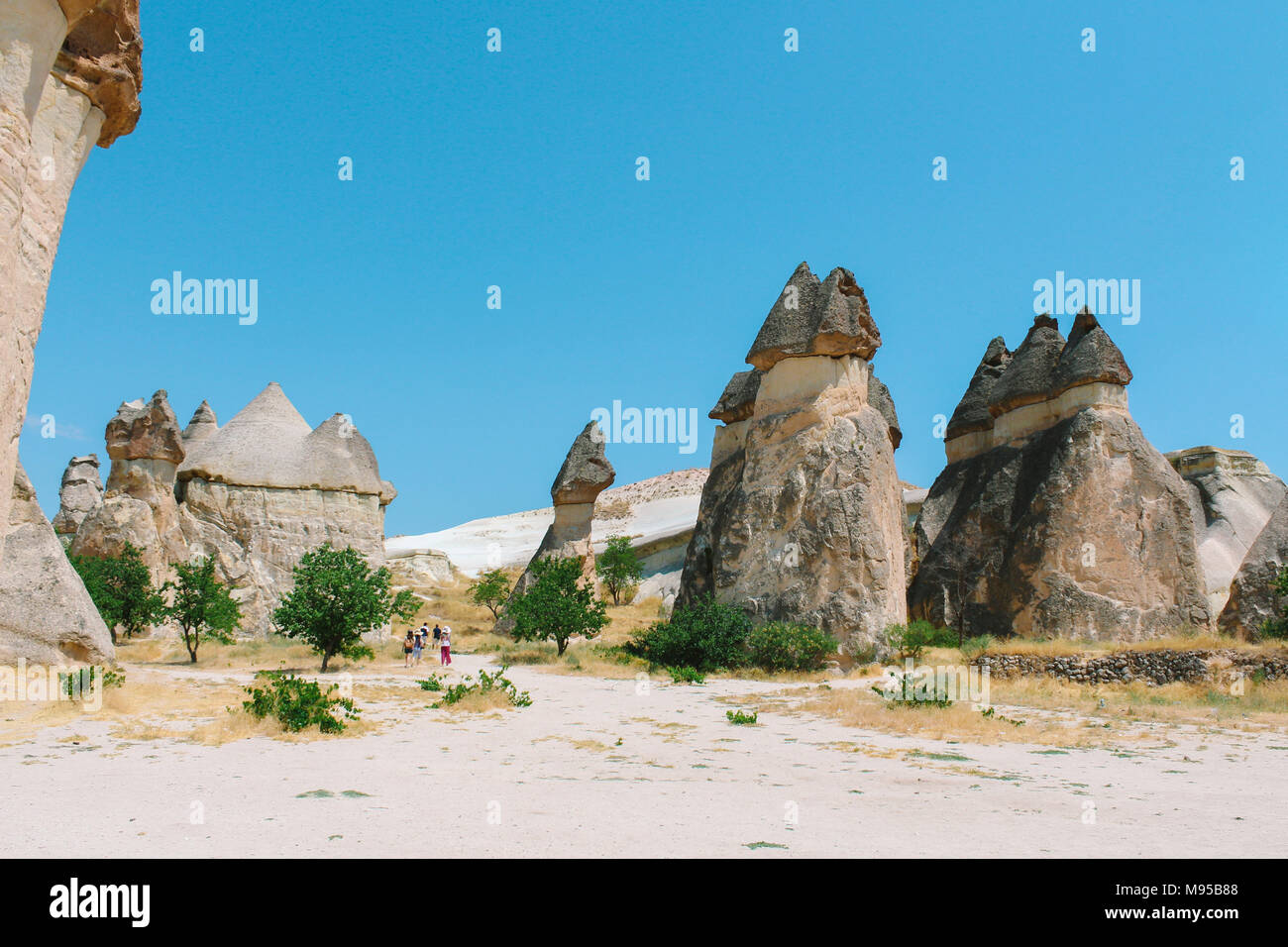 Pasabag valley Mushroom shaped rock formation, fairy chimneys in Cappadocia, Turkey Stock Photo