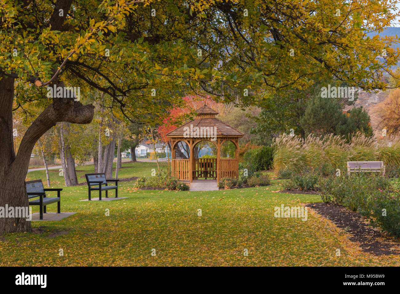 The gazebo in rose garden hi-res stock photography and images - Alamy
