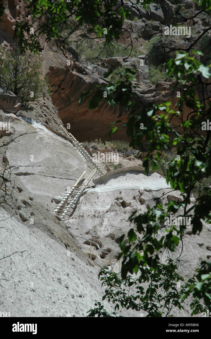 A set of rustic ladders lead hikers and tourists up to Alcove House in the Bandelier National Monument. Stock Photo