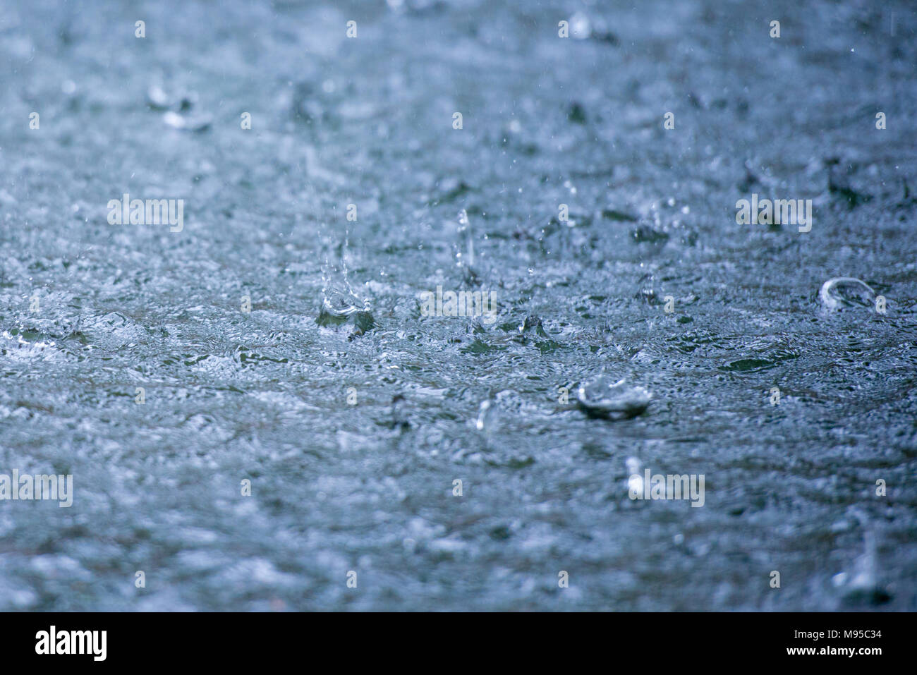 Rain drops rippling in a puddle with blue sky reflection Stock Photo ...