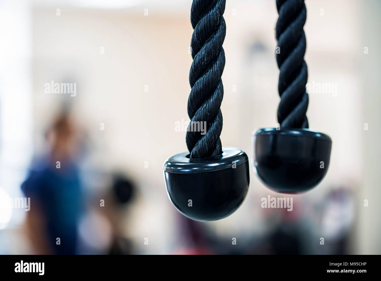 Exercise ropes hanging at modern gym close Stock Photo Alamy