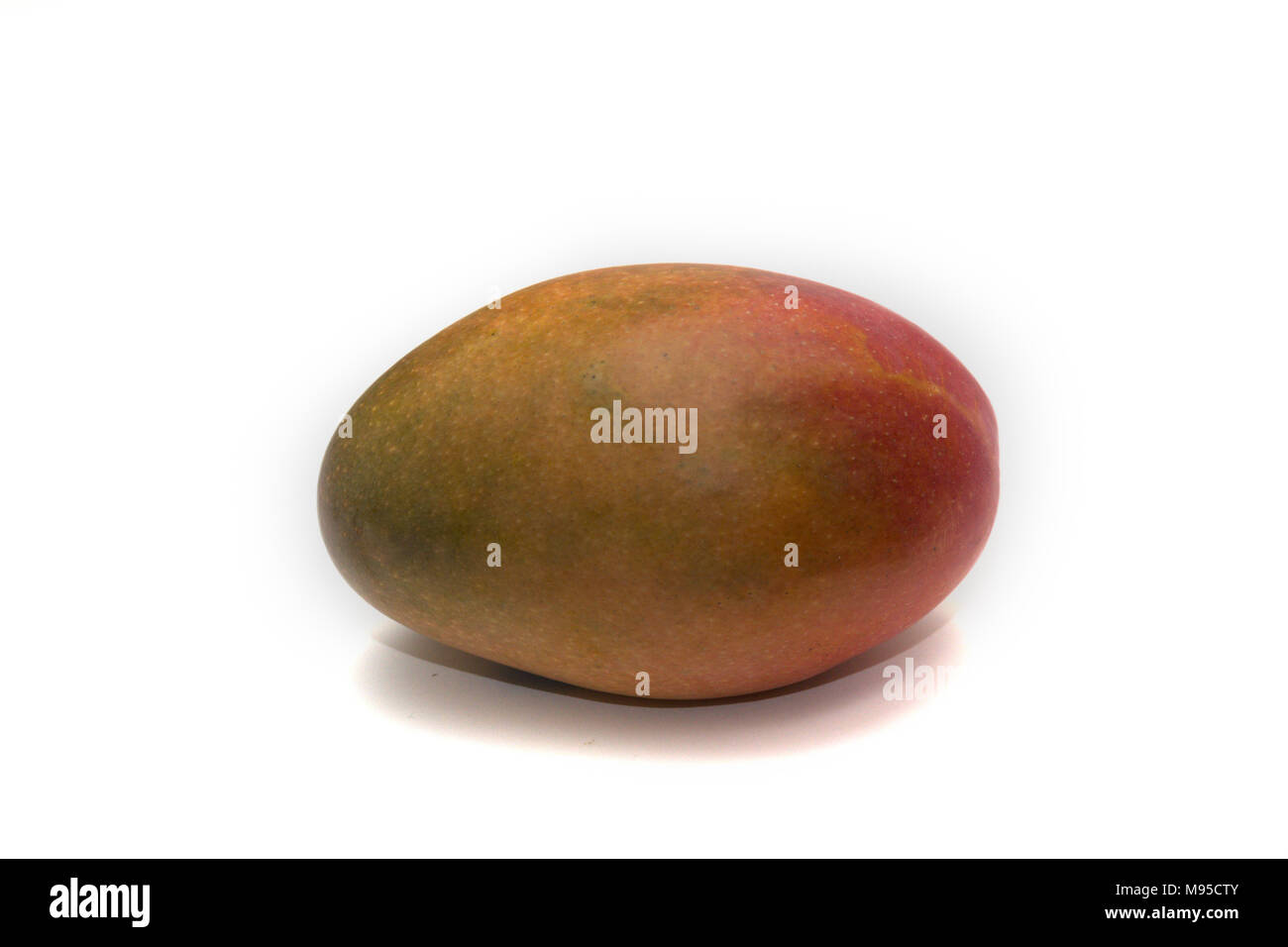 A single ripe mango (Mangifera indica) isolated on a white background Stock Photo