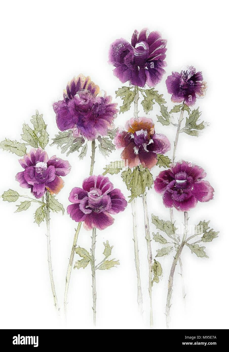 Seven purple roses on a white background. The dabbing technique near the edges gives a soft focus effect due to the altered surface roughness of the p Stock Photo
