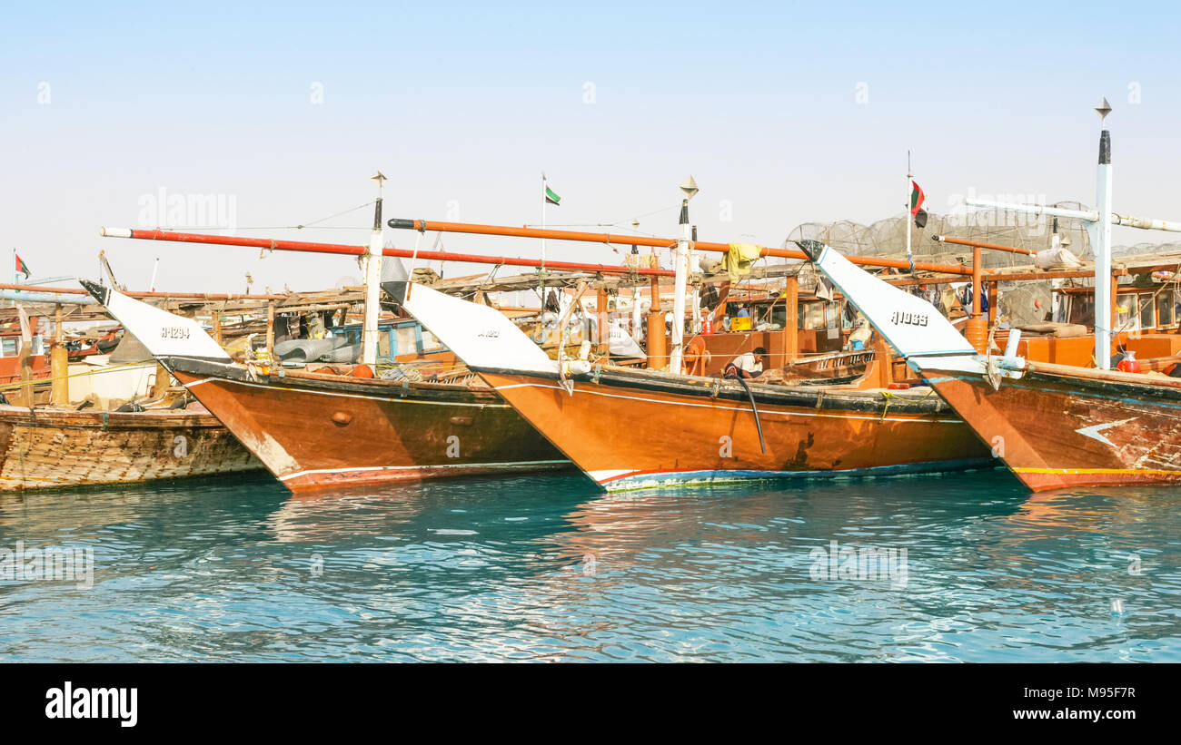 Traditional wooden fishing dhows berthed in the Dhow Harbour in Abu