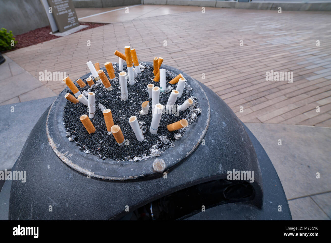 cigarette effects on sexuality Tobacco and Sexuality: How smoking affects your libido cigarette effects on sexuality Tobacco and Sexuality: How smoking affects your libido