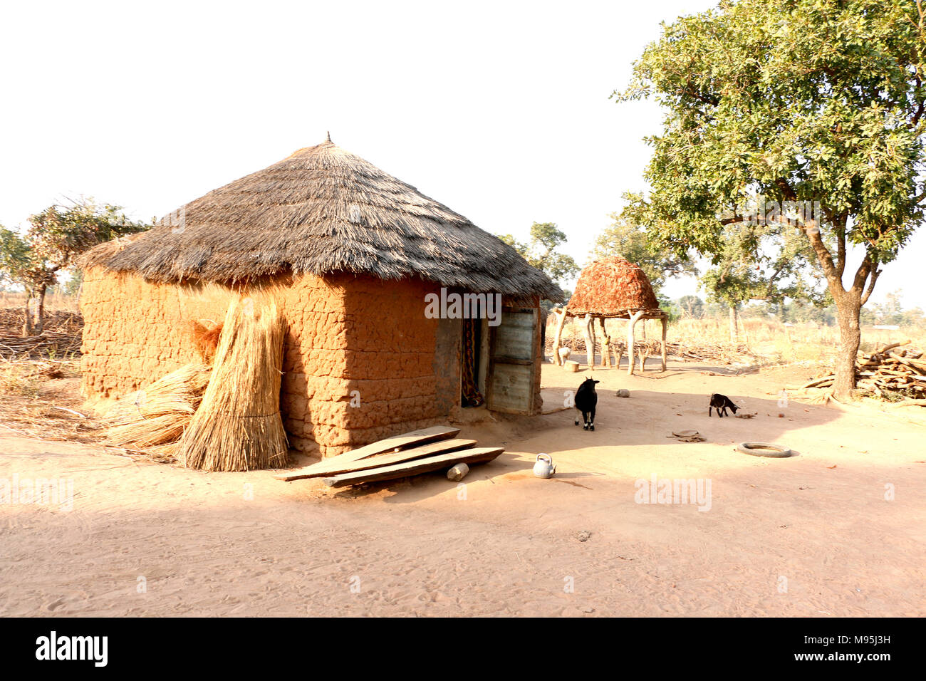 mud houses in a village in the north of benin Stock Photo