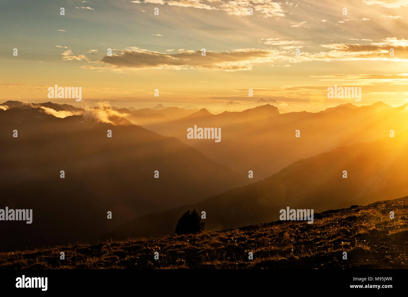 WA13908-00...WASHINGTON - Sunset from the high point between Constance Pass and Sunnybrook Meadows. Stock Photo