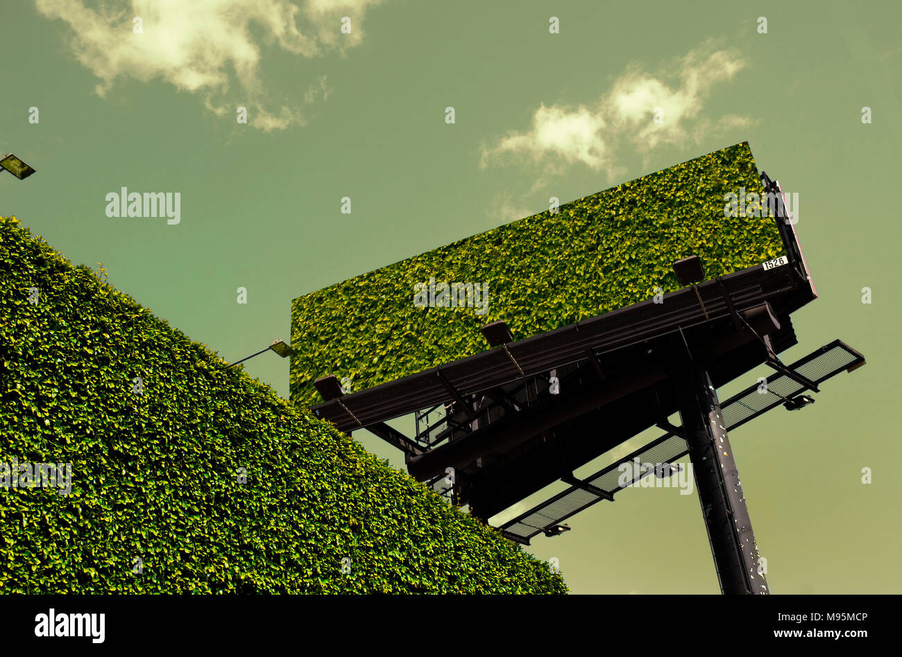 Grass Wall And Billboard Stock Photo Alamy