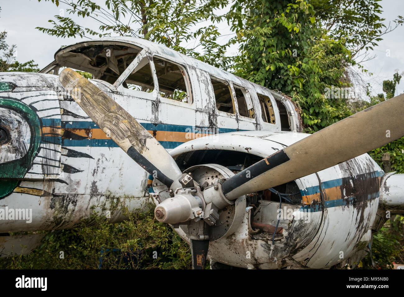 airplane wreckage in jungle - old propeller aircraft in forest - Stock Photo