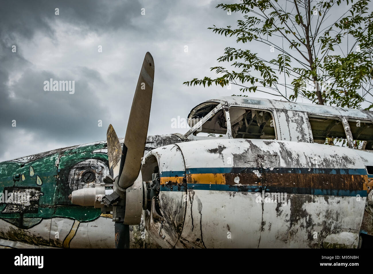 aircraft  wreck  in jungle - old propeller  airplane  in forest - Stock Photo