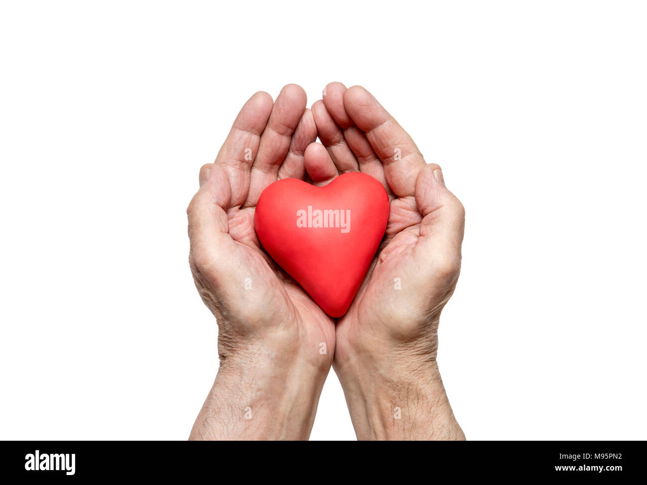 Old man's hands with red heart. Clipping path included. Stock Photo