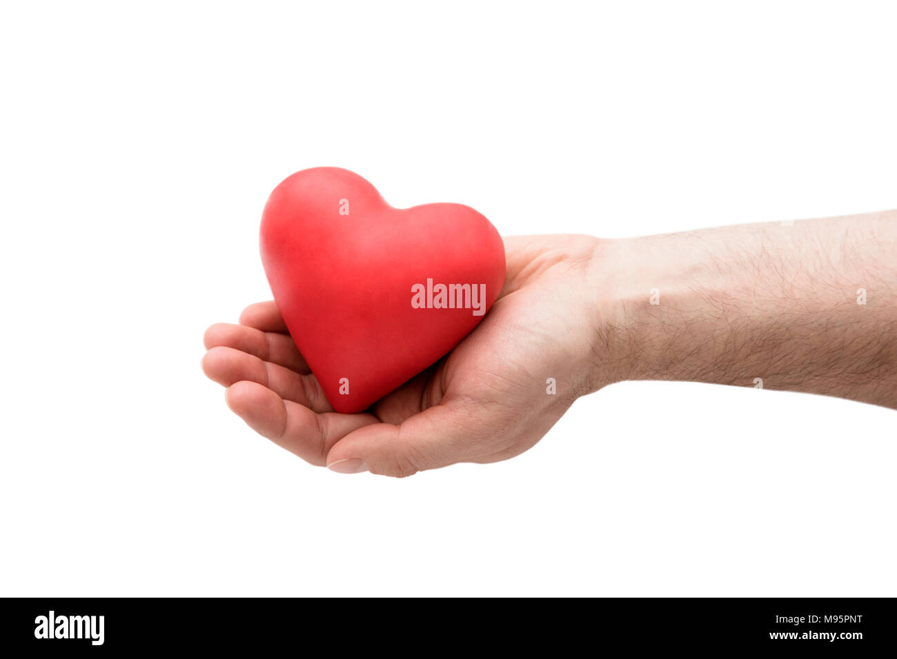 Red heart in man's hand Stock Photo