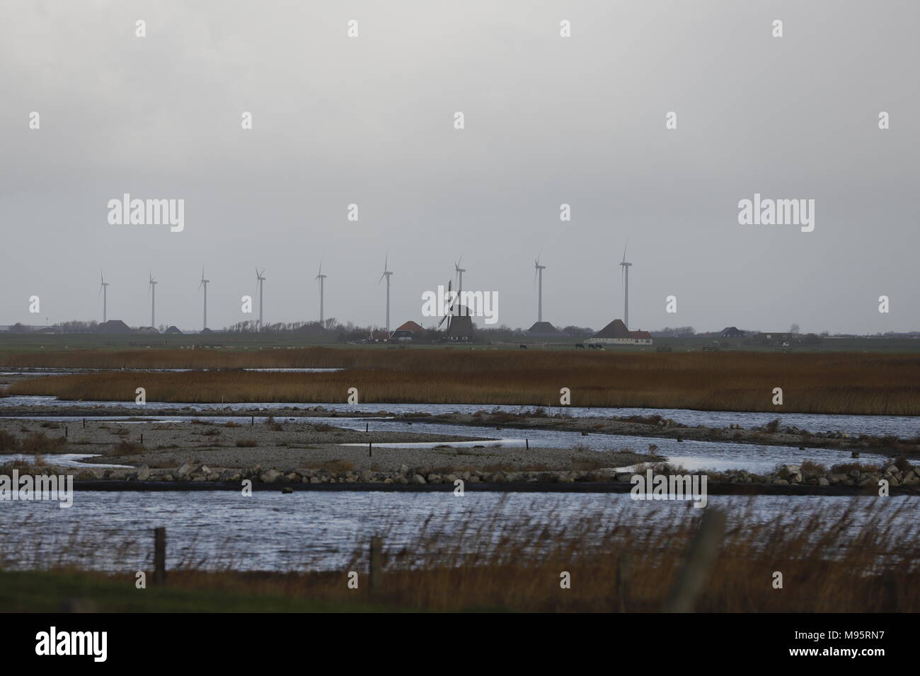 Dutch landscape nature with ecological wind power. An old windmill with ...
