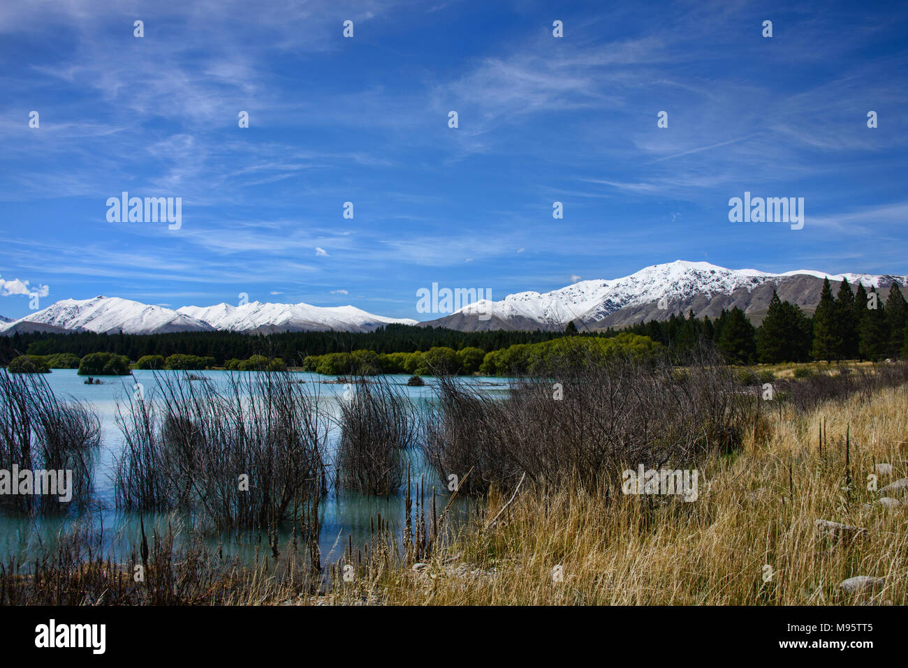Beautiful view of Lake Tekapo, New Zealand Stock Photo - Alamy