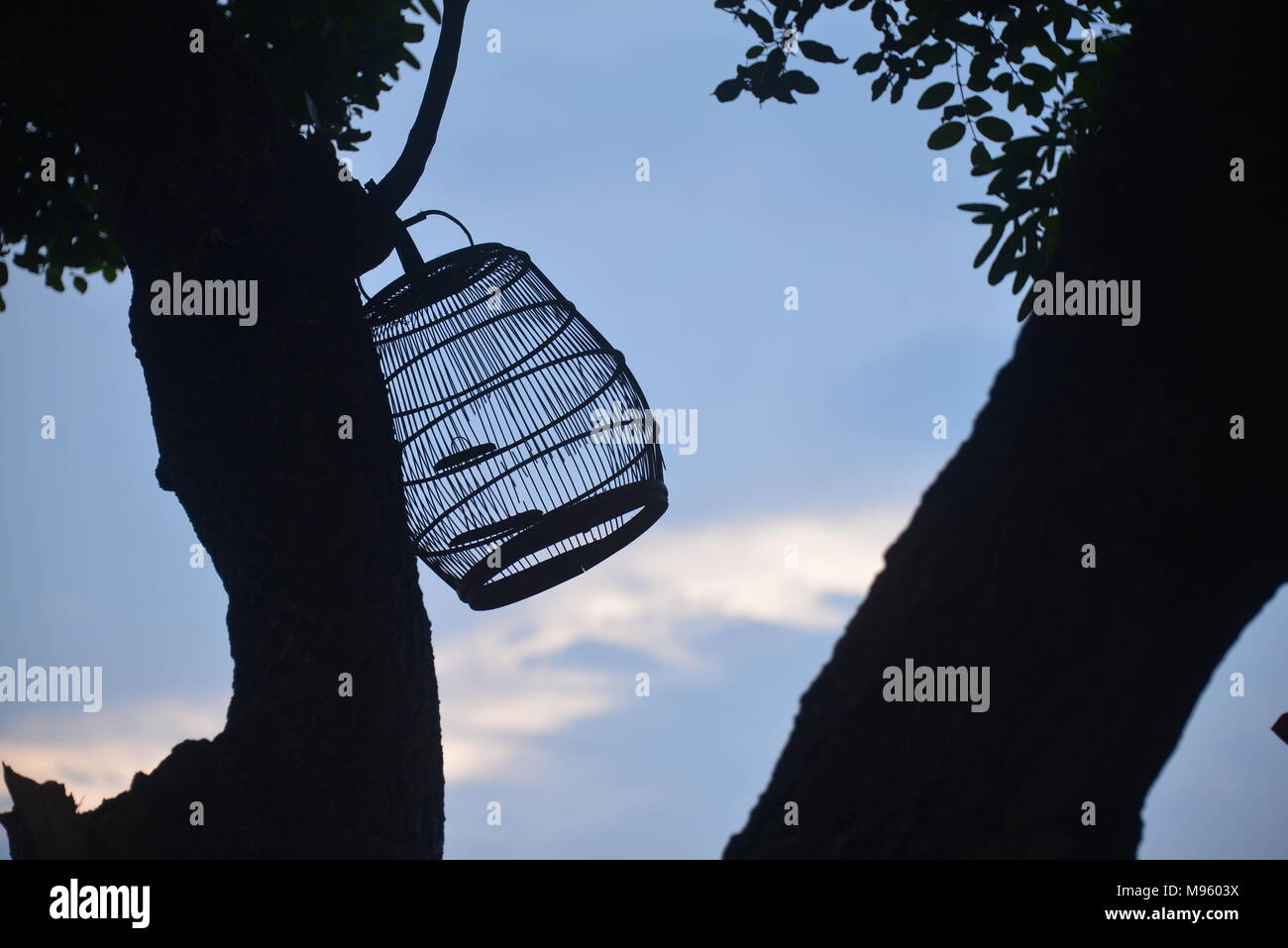 The empty bird cage hang on the tree Stock Photo