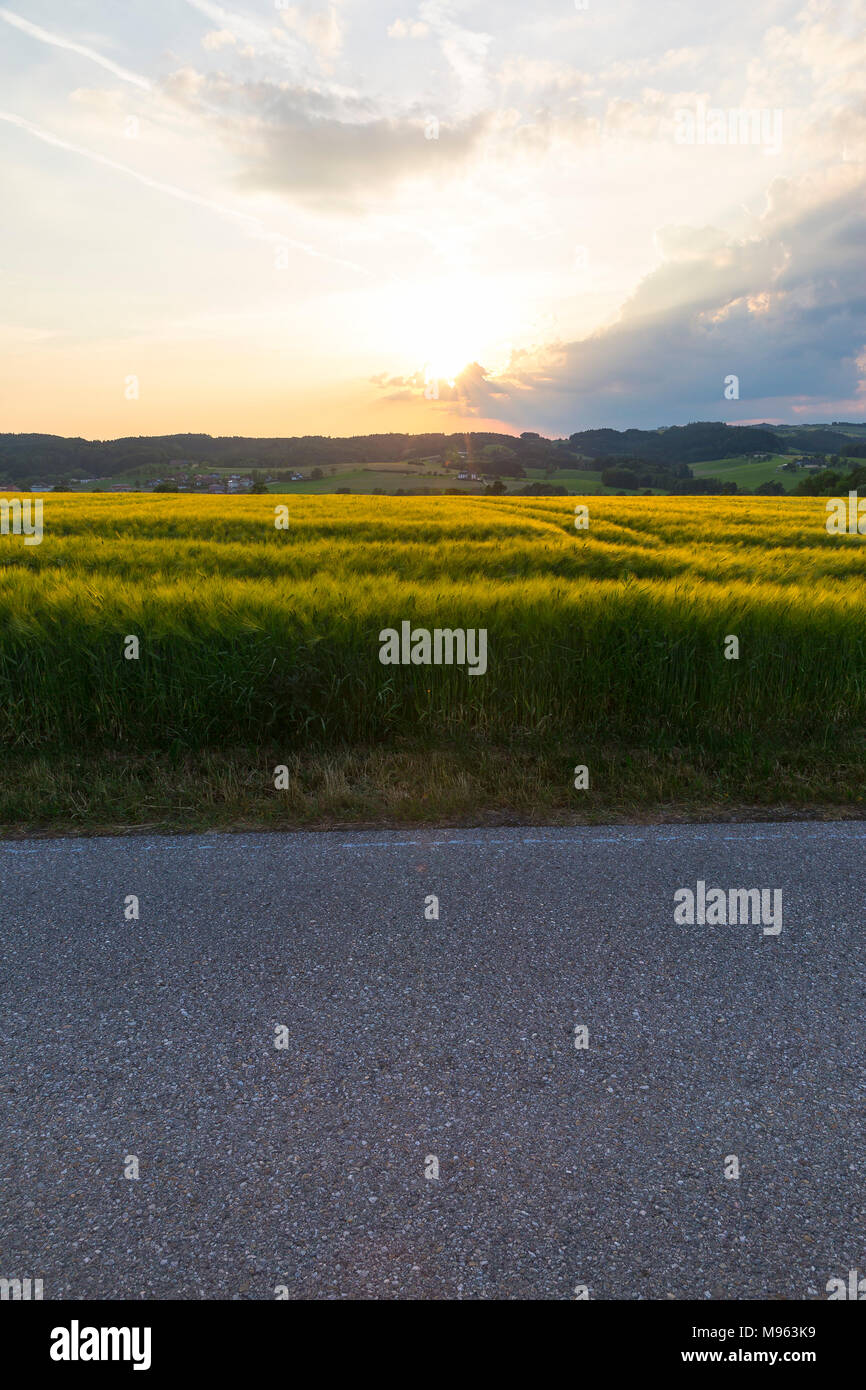 leere Straße im Mühlvierlel, Österreich Stock Photo